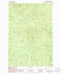 Elochoman Lake Washington Historical topographic map, 1:24000 scale, 7.5 X 7.5 Minute, Year 1986