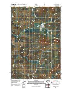 Farmington Washington Historical topographic map, 1:24000 scale, 7.5 X 7.5 Minute, Year 2011