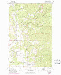 Foothills Washington Historical topographic map, 1:24000 scale, 7.5 X 7.5 Minute, Year 1973
