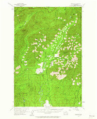 Grisdale Washington Historical topographic map, 1:62500 scale, 15 X 15 Minute, Year 1955