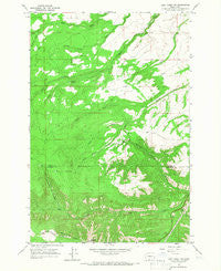Logy Creek SW Washington Historical topographic map, 1:24000 scale, 7.5 X 7.5 Minute, Year 1965