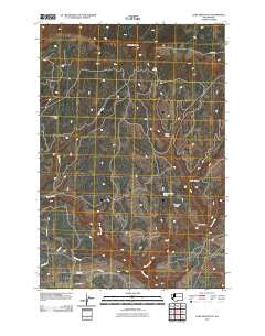 Lone Pine Butte Washington Historical topographic map, 1:24000 scale, 7.5 X 7.5 Minute, Year 2011