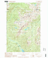 Mount Skokomish Washington Historical topographic map, 1:24000 scale, 7.5 X 7.5 Minute, Year 1990