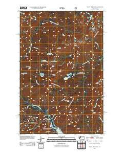 Mount Skokomish Washington Historical topographic map, 1:24000 scale, 7.5 X 7.5 Minute, Year 2011