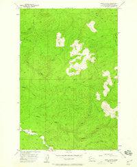 North Nemah Washington Historical topographic map, 1:24000 scale, 7.5 X 7.5 Minute, Year 1955