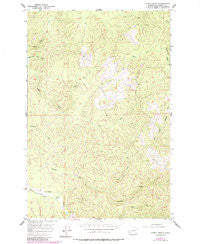 North Nemah Washington Historical topographic map, 1:24000 scale, 7.5 X 7.5 Minute, Year 1955