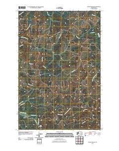 North Nemah Washington Historical topographic map, 1:24000 scale, 7.5 X 7.5 Minute, Year 2011
