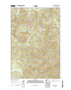 North Nemah Washington Current topographic map, 1:24000 scale, 7.5 X 7.5 Minute, Year 2013