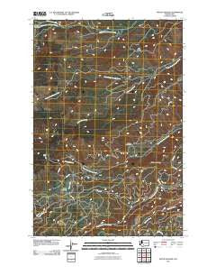 Piscoe Meadow Washington Historical topographic map, 1:24000 scale, 7.5 X 7.5 Minute, Year 2011