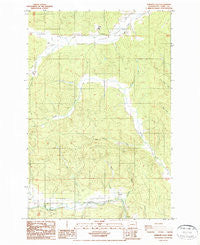 Rainbow Falls Washington Historical topographic map, 1:24000 scale, 7.5 X 7.5 Minute, Year 1986