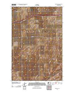 Reiman SE Washington Historical topographic map, 1:24000 scale, 7.5 X 7.5 Minute, Year 2011
