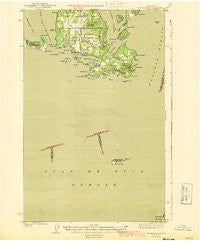 Richardson Washington Historical topographic map, 1:62500 scale, 15 X 15 Minute, Year 1943