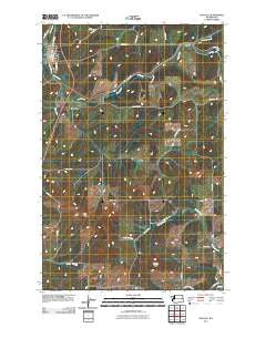 Rosalia Washington Historical topographic map, 1:24000 scale, 7.5 X 7.5 Minute, Year 2011