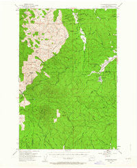 Ryderwood Washington Historical topographic map, 1:62500 scale, 15 X 15 Minute, Year 1953