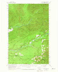 Salmon River Washington Historical topographic map, 1:62500 scale, 15 X 15 Minute, Year 1956