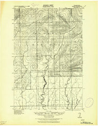Satsop Washington Historical topographic map, 1:62500 scale, 15 X 15 Minute, Year 1921