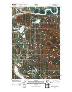 Sedro-Woolley South Washington Historical topographic map, 1:24000 scale, 7.5 X 7.5 Minute, Year 2011