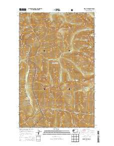 Skagit Peak Washington Current topographic map, 1:24000 scale, 7.5 X 7.5 Minute, Year 2014