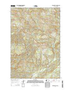 Skamokawa Pass Washington Current topographic map, 1:24000 scale, 7.5 X 7.5 Minute, Year 2013