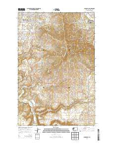 Spokane SE Washington Current topographic map, 1:24000 scale, 7.5 X 7.5 Minute, Year 2014