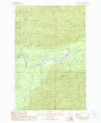 Spruce Mountain Washington Historical topographic map, 1:24000 scale, 7.5 X 7.5 Minute, Year 1990
