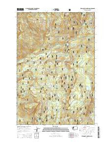 Steamboat Mountain Washington Current topographic map, 1:24000 scale, 7.5 X 7.5 Minute, Year 2014