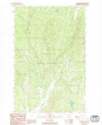 Stepstone Creek Washington Historical topographic map, 1:24000 scale, 7.5 X 7.5 Minute, Year 1989