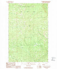 Strawberry Mountain Washington Historical topographic map, 1:24000 scale, 7.5 X 7.5 Minute, Year 1989