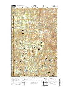 Swan Lake Washington Current topographic map, 1:24000 scale, 7.5 X 7.5 Minute, Year 2014