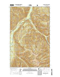 Tatoosh Buttes Washington Current topographic map, 1:24000 scale, 7.5 X 7.5 Minute, Year 2014