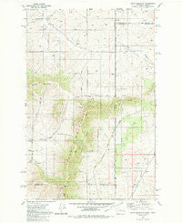 Tekoa Mountain Washington Historical topographic map, 1:24000 scale, 7.5 X 7.5 Minute, Year 1980