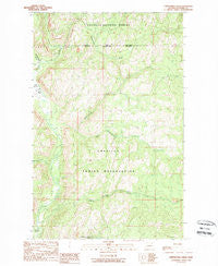Thirteenmile Creek Washington Historical topographic map, 1:24000 scale, 7.5 X 7.5 Minute, Year 1989