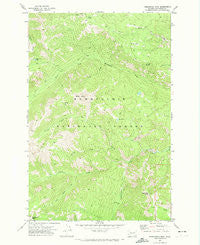 Timberwolf Mtn Washington Historical topographic map, 1:24000 scale, 7.5 X 7.5 Minute, Year 1971