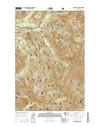 Wahpenayo Peak Washington Current topographic map, 1:24000 scale, 7.5 X 7.5 Minute, Year 2014