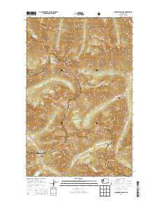 Washington Pass Washington Current topographic map, 1:24000 scale, 7.5 X 7.5 Minute, Year 2014