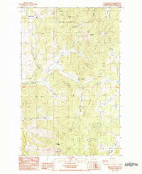 Wellington Peak Washington Historical topographic map, 1:24000 scale, 7.5 X 7.5 Minute, Year 1985