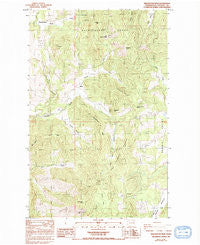 Wellington Peak Washington Historical topographic map, 1:24000 scale, 7.5 X 7.5 Minute, Year 1985