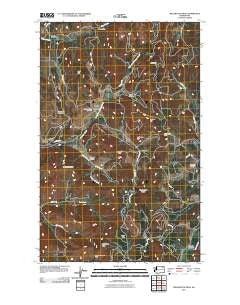 Wellington Peak Washington Historical topographic map, 1:24000 scale, 7.5 X 7.5 Minute, Year 2011
