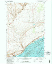 West of Paterson Washington Historical topographic map, 1:24000 scale, 7.5 X 7.5 Minute, Year 1993