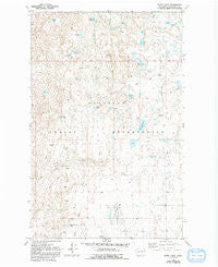 White Lakes Washington Historical topographic map, 1:24000 scale, 7.5 X 7.5 Minute, Year 1980