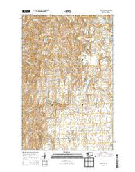 White Lakes Washington Current topographic map, 1:24000 scale, 7.5 X 7.5 Minute, Year 2014
