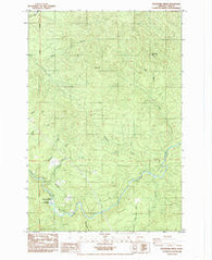 Woolford Creek Washington Historical topographic map, 1:24000 scale, 7.5 X 7.5 Minute, Year 1985