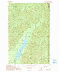 Wynoochee Lake Washington Historical topographic map, 1:24000 scale, 7.5 X 7.5 Minute, Year 1990