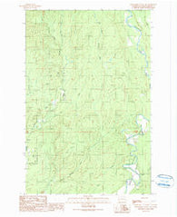 Wynoochee Valley NW Washington Historical topographic map, 1:24000 scale, 7.5 X 7.5 Minute, Year 1990