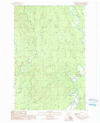 Wynoochee Valley NW Washington Historical topographic map, 1:24000 scale, 7.5 X 7.5 Minute, Year 1990