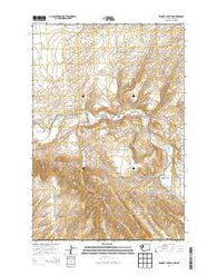 Zangar Junction Washington Current topographic map, 1:24000 scale, 7.5 X 7.5 Minute, Year 2014
