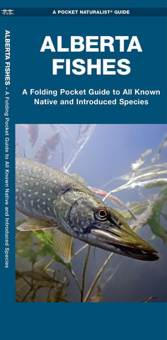 Buy map Alberta Fishes, 2nd Ed