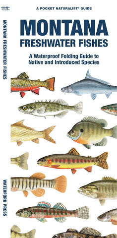 Buy map Montana Freshwater Fishes