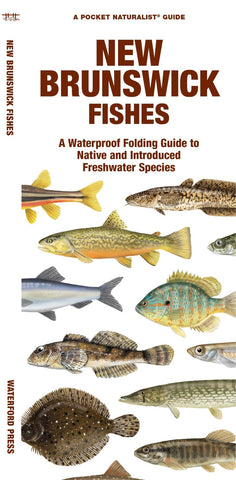 Buy map New Brunswick Fishes: A Folded Guide