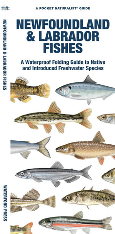 Buy map Newfoundland & Labrador Fishes
